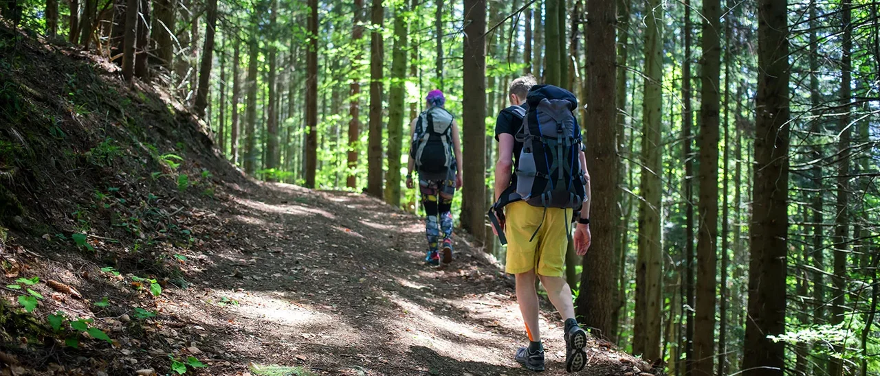 Zwei Wanderer gehen durch den bayerischen Wald