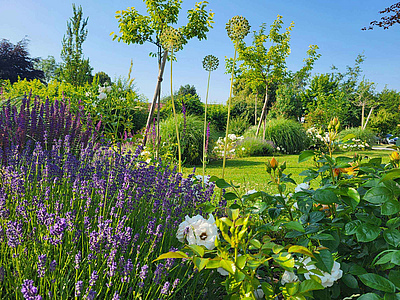 Bachhof Resort Straubing