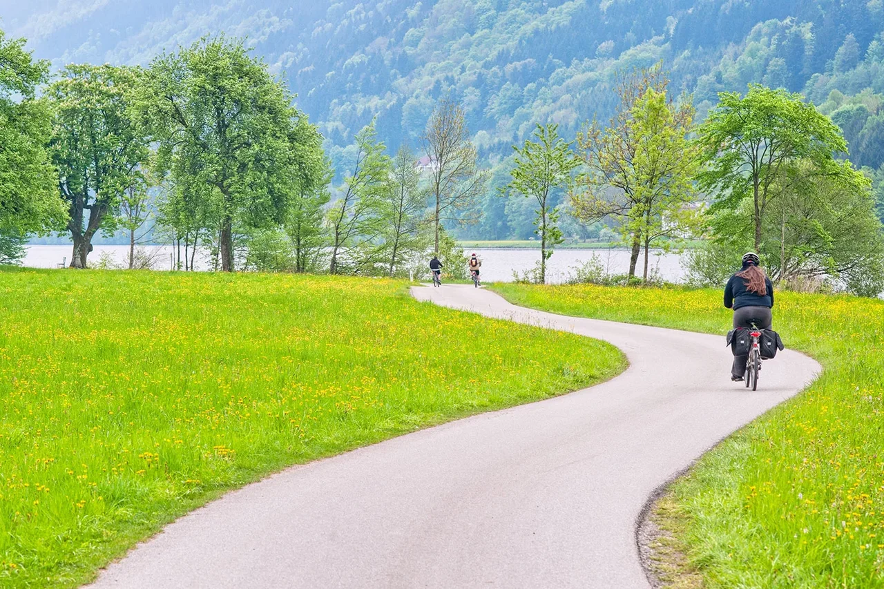 Radfahrer fahren auf dem Donauwanderweg
